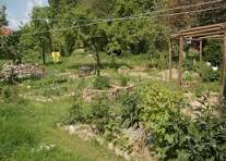 Permaculture Gardening
